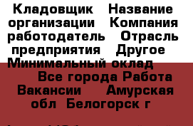 Кладовщик › Название организации ­ Компания-работодатель › Отрасль предприятия ­ Другое › Минимальный оклад ­ 25 000 - Все города Работа » Вакансии   . Амурская обл.,Белогорск г.